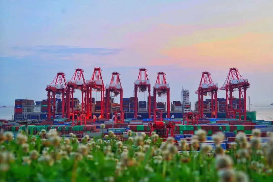 2023年内贸海运集装箱行业的将来发展方向