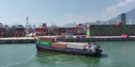 国内海运，内贸集装箱海运收费全解析！